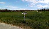 Randonnée Marche Châteauneuf-de-Galaure - Le tour de Châteauneuf de Galaure - Photo 11