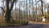 Trail On foot Eutin - Dodauer Forst-Route - Lang - Photo 1