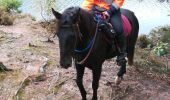 Tour Reiten Badenweiler - badonviller avec les filles  - Photo 2