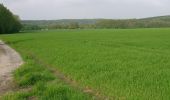 Tour Zu Fuß Lengerich - Dyckerhoff-Rundwanderweg - Photo 2