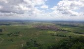 Tocht Stappen Dambach-la-Ville - Dambach-la-Ville : Circuit des trois châteaux - Photo 16