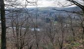 Tour Wandern Houyet - Custinne 080321 - Photo 1