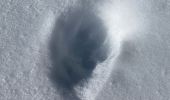 Percorso Racchette da neve Vaulnaveys-le-Haut - Lac Achard - Photo 5