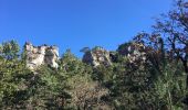 Tour Wandern Saint-Félix-de-l'Héras - Les Fabres - Mas Rouquet - Photo 9