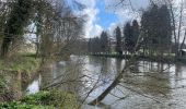 Randonnée Marche Durbuy - Barbaux -Ourthe - Photo 6