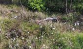 Trail Walking Spa - Bérinzenne entre fagne et forêt  - Photo 14