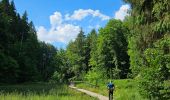 Trail Walking Beaufort - 2021-07-05_20h10m00_gpx-file (1) - Photo 7