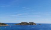 Tour Wandern Ramatuelle - Cap Taillat  et Cap Lardier - Photo 4