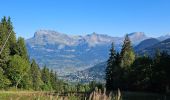 Tour Wandern Saint-Gervais-les-Bains - J17 - R16 - Le Plan de la Croix - Bettex - Photo 13