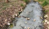 Randonnée Marche Paris - Le bois de Vincennes et le pavillon Baltard - Photo 3