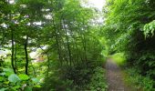 Excursión A pie Baden - Badener Running Walking Trail Mittel - Photo 6