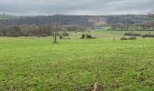 Trail Walking Aywaille - Elfique 13km - Photo 7