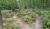 Trail Walking Vendôme - Forêt de Vendôme Circuit 2 - Photo 4