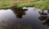Trail Nordic walking Sainte-Anne - Liard saint Robert belle mare - Photo 2