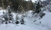 Randonnée Raquettes à neige Orsières - Champex Lac - Belvédère - Champex Lac - Photo 11