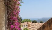 Tour Wandern Bormes-les-Mimosas - 20190521. Bormes les Mimosas  - Photo 15