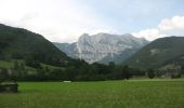 Excursión A pie Liezen - Weißenbacher Rundwanderweg - Photo 8