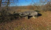 Randonnée Marche Chartrier-Ferrière - Chartrier ferrière - les 2 dolmens - Photo 6