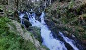 Trail Walking Rochesson - cascade de Battion  - Photo 10