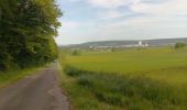 Trail Mountain bike Virton - Monquintin  -  Balade_VTT_22Kms - Photo 2