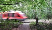 Trail On foot Scharbeutz - Ostsee-Therme Lang - Photo 7