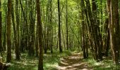 Tour Wandern Savignac-de-Miremont - Boucle autour de Savignac de Miremont - Photo 1