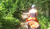 Trail Horseback riding Vigy - 2024-07-18_100557.gpx - Photo 1