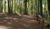 Tour Elektrofahrrad Ronse - Renaix - Mont de l'enclus, Escanaffles, Kwaremont, Zulzeke - Photo 15