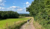 Tour Wandern Rendeux - Cheoux  - Photo 2