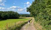 Tocht Stappen Rendeux - Cheoux  - Photo 19