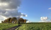 Tour Wandern Grez-Doiceau - Gottechain grand tour 19/11/2019  - Photo 2