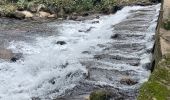 Excursión  Le Morne-Rouge - Sainte Cécile/crête du Cournan/Beauvallon  - Photo 2