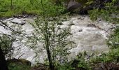 Randonnée Marche Chamonix-Mont-Blanc - Les Tines Argentière par l'Arve - Photo 10