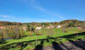 Excursión Bici eléctrica Vieux-Moulin - Vieux-Moulin- Saales- Ban de Sapt - Vieux Moulin - Photo 10