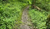 Tocht Stappen Les Granges-le-Roi - Forêt domaniale de Dourdan  - Photo 18