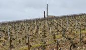 Randonnée Marche Les Riceys - Ricey bois, cadoles et vignes 13 km - Photo 9