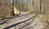 Tour Wandern Val d'Oingt - le bois de la Flachère - Photo 6