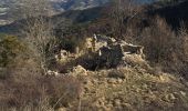 Randonnée Marche Rochefourchat - Grand Delmas depuis Rochefourchat - Photo 4