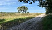 Trail Walking Kalmthout - Heide 24,2 km - Photo 4