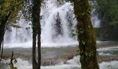 Excursión Senderismo Arbois - Arbois 22 oct 2019 CAF - Photo 13