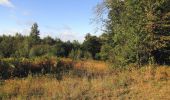 Randonnée Marche Haramont - en forêt de Retz_84_la Laie du Petit Bois d'Haramont - Photo 13