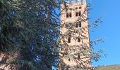 Tour Wandern Prades - codalet . coll de Clara . abbaye St Michel de Cuxa . canal bohère - Photo 8