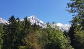 Randonnée Marche Chamonix-Mont-Blanc - la cascade du Dard à gare de Chamonix  - Photo 8