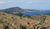 Percorso Marcia Banyuls-sur-Mer - Banyuls_Peyrefite_bis_T - Photo 2