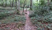 Trail Walking Vendôme - Vendôme Bois de l'Oratoire Circuit 1 - Photo 3