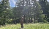 Trail Walking Ceillac - La cascade - Ceillac A/R - Photo 17