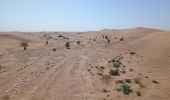 Tour Wandern M'Hamid El Ghizlane ⵎⵃⴰⵎⵉⴷ ⵍⵖⵯⵣⵍⴰⵏ امحاميد الغزلان - Campement 1 au Campement 2 - Photo 19