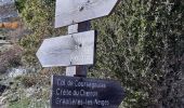 Tour Wandern Coursegoules - 2020-10 Trace circuit du vieriou - Photo 14