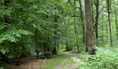 Percorso Corsa a piedi Gerpinnes - Fromiée Hanzinelle Morialmé  - Photo 2