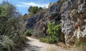 Trail Mountain bike Narbonne - NARBONNE-Plage ... vers les étangs Trail Mountain bike Narbonne - NARBONNE-Plage ... vers les étangs